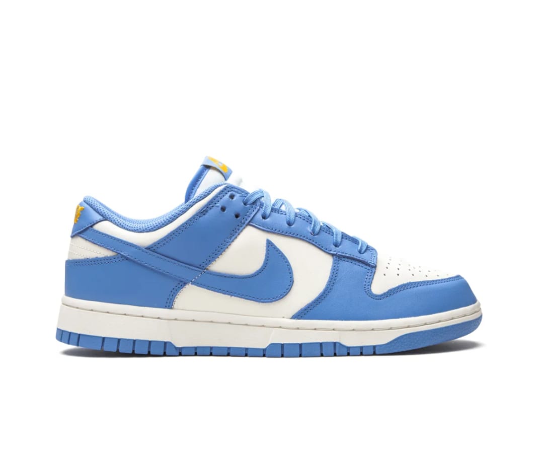 Nike SB Low Blue -